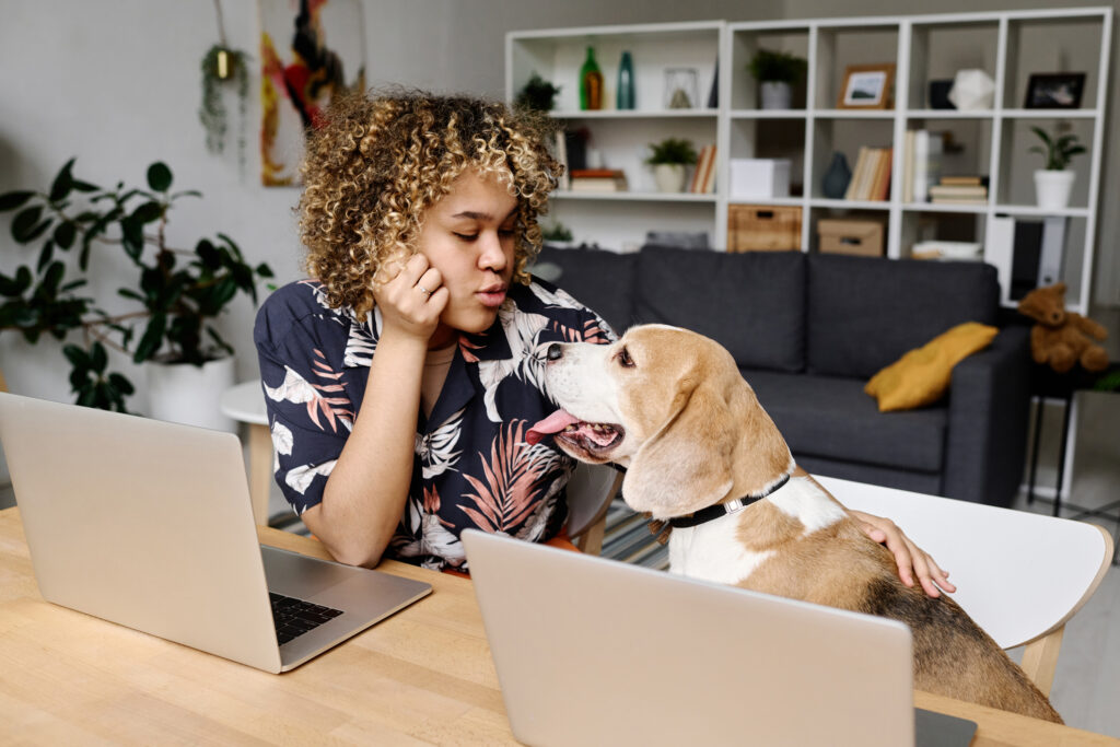 Apartments that allow dogs over store 50 pounds