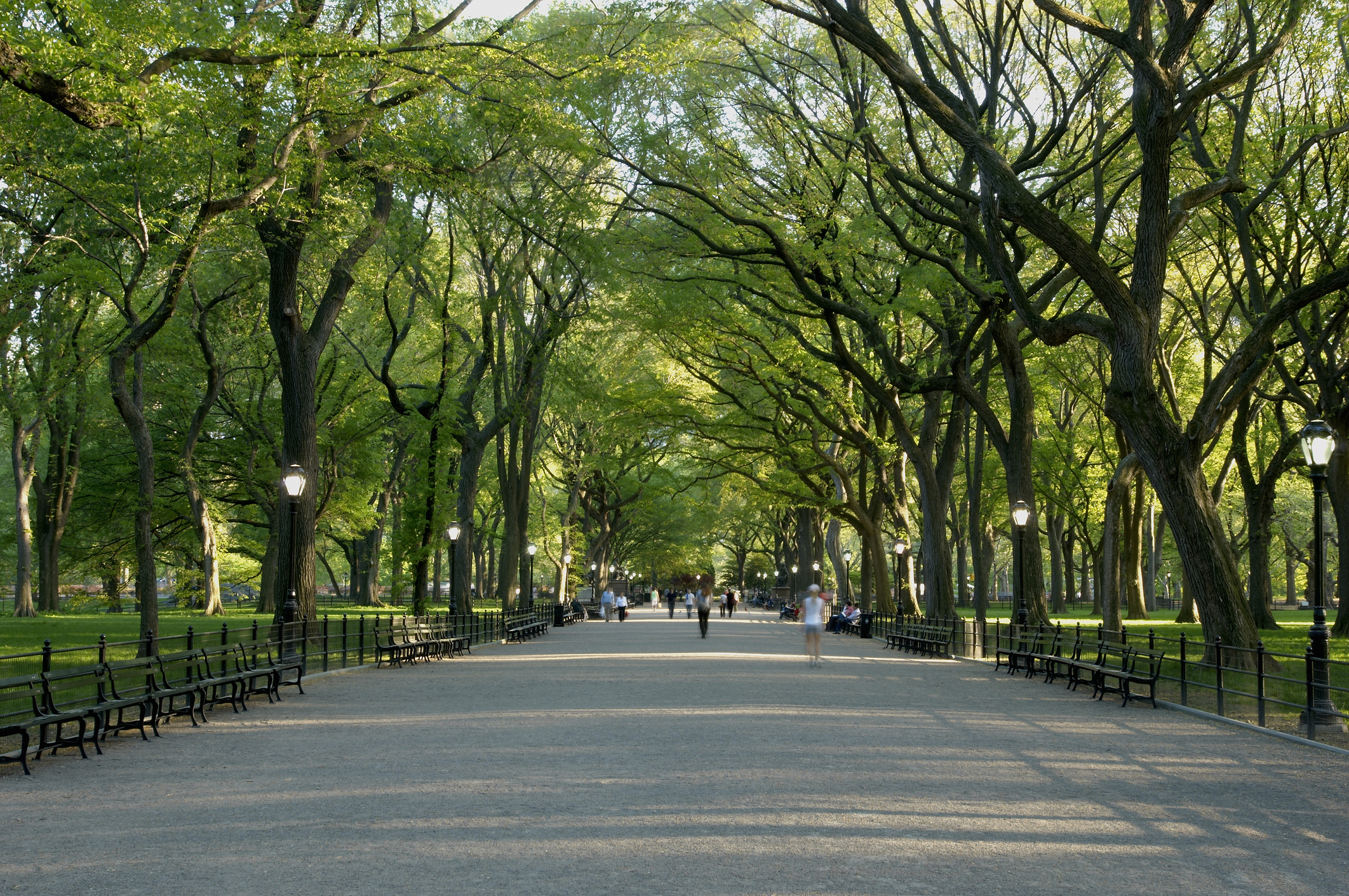 walkway through trees - apartments near Central Park