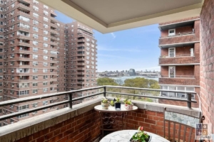 LES co-op balcony - Manhattan homes with balconies