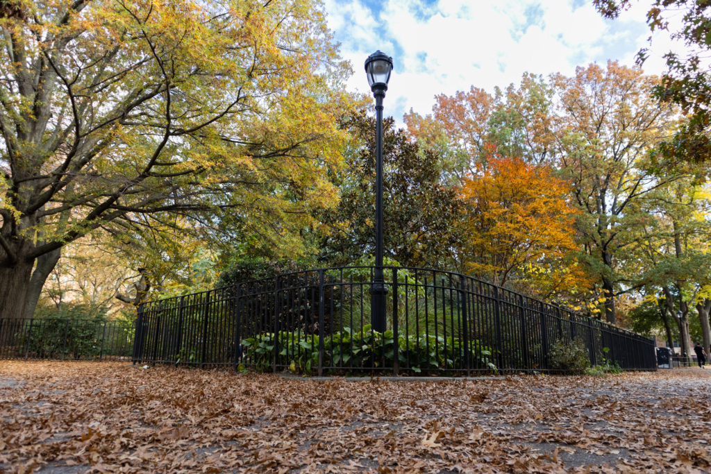 Fallen leaves and colorful autumn trees at Tompkins Square Park in the East Village