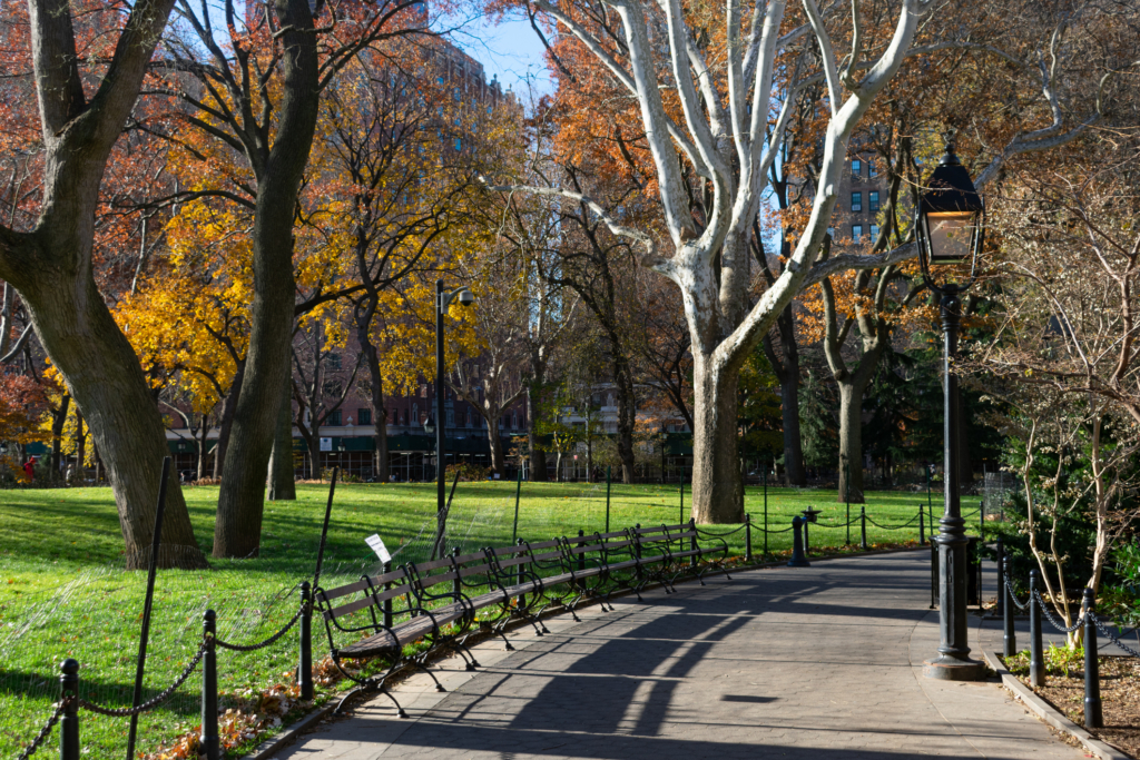 An empty walkway with a streetlight and colorful trees during autumn at Washington Square Park in Greenwich Village - fall in New York