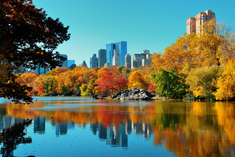 colorful trees and NYC skyline reflected in the water of Central Park - fall in New York