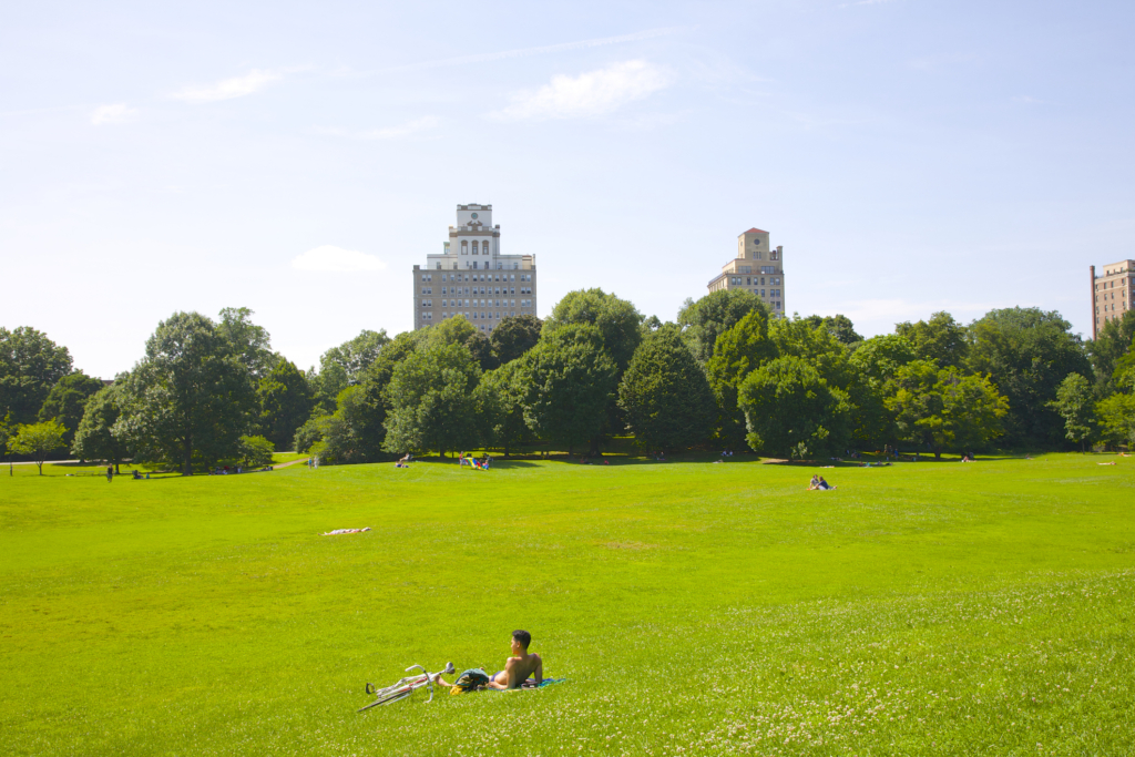 man sunbathing on lush green lawn in Prospect Park