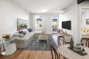 living room in one-bedroom apt - Bed-Stuy rentals