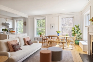 living and dining room in Brooklyn Heights beauty