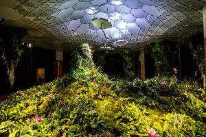 Lowline Lab