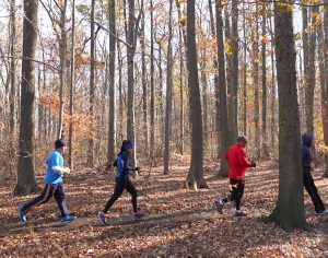 Greenbelt Staten Island Running