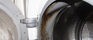 mold on washing machine