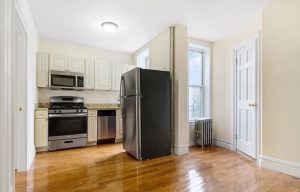 greenpoint rentals under $3k - 195 driggs avenue #2d