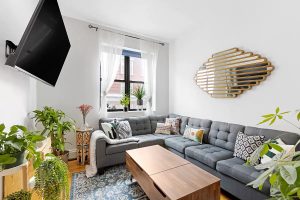 Williamsburg Brooklyn apartment living room