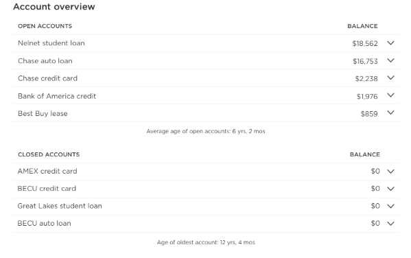 Account summary of balances, open and closed credit cards and loans on a tenant credit check.