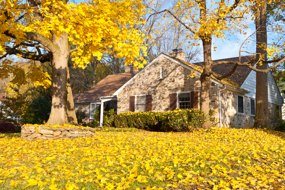 Do You Own The Land Under Your Home Zillow